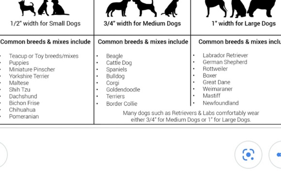 NWT Lupine Pet Collar & Matching Keychain! - Picture 6 of 8